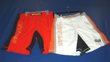 Muay Thai Kickboxing Shorts